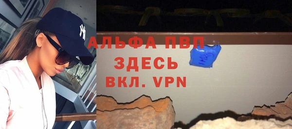 хмурый Алексин