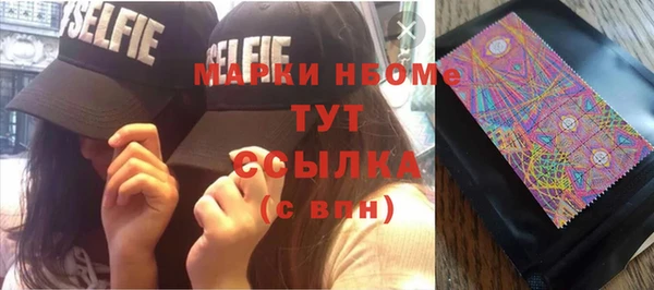 хмурый Алексин