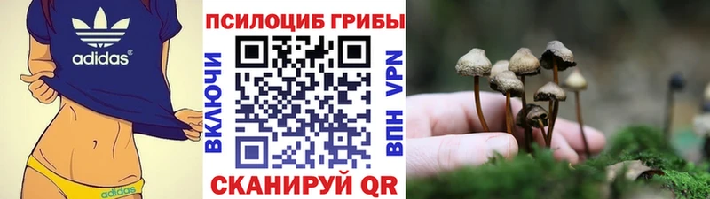 Галлюциногенные грибы Psilocybine cubensis  Заполярный 